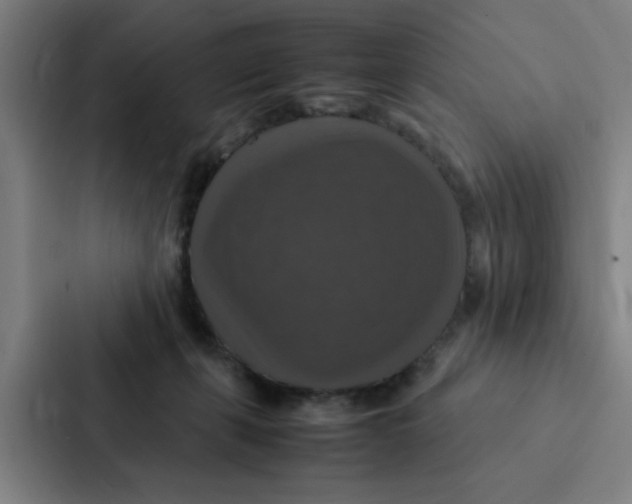 X0000087330271200705112203