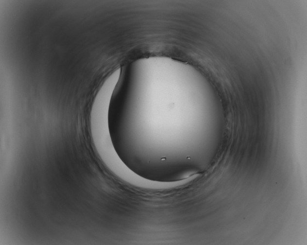 X0000087330272200705112203
