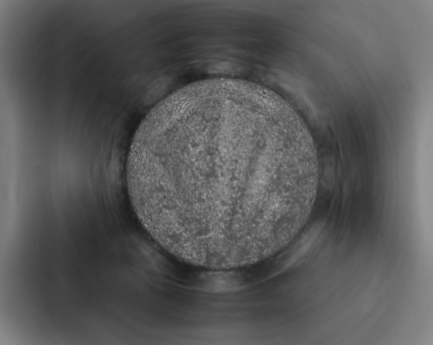 X0000087330273200705112203