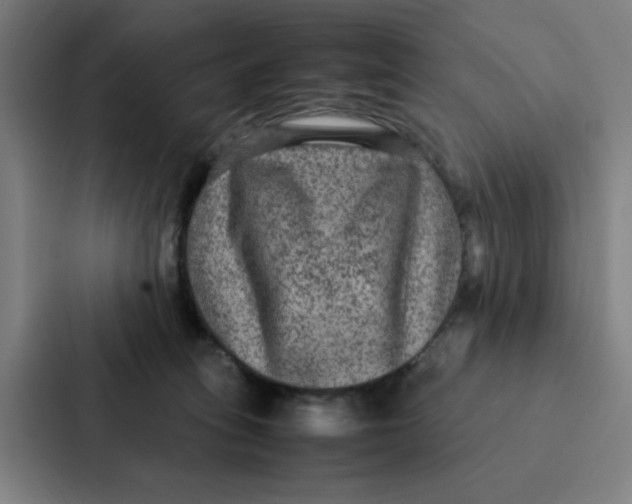 X0000087330275200705112203