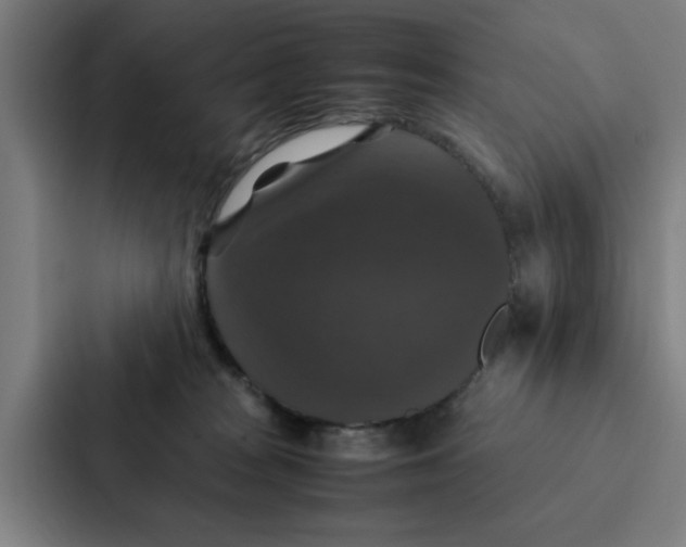 X0000087330277200705112203