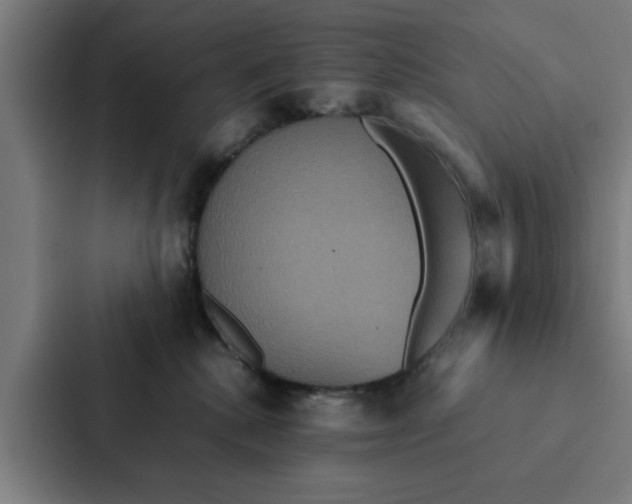 X0000087330280200705112203