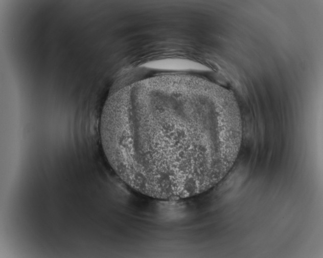 X0000087330281200705112203