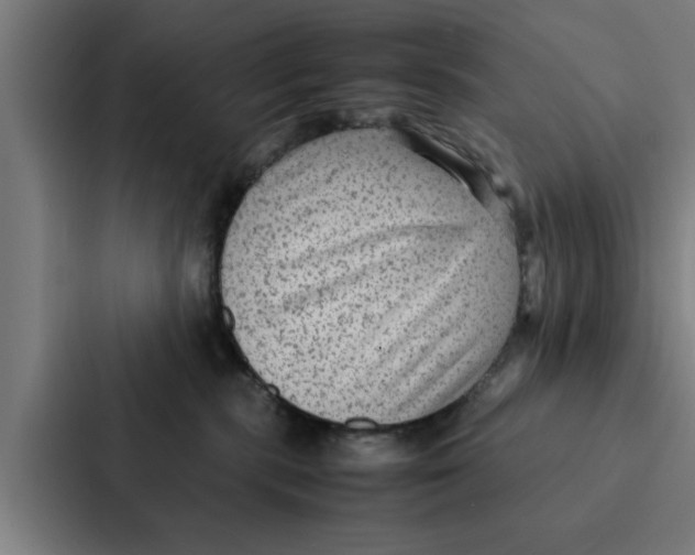 X0000087330283200705112203