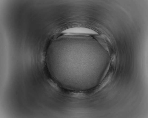X0000087330284200705112203