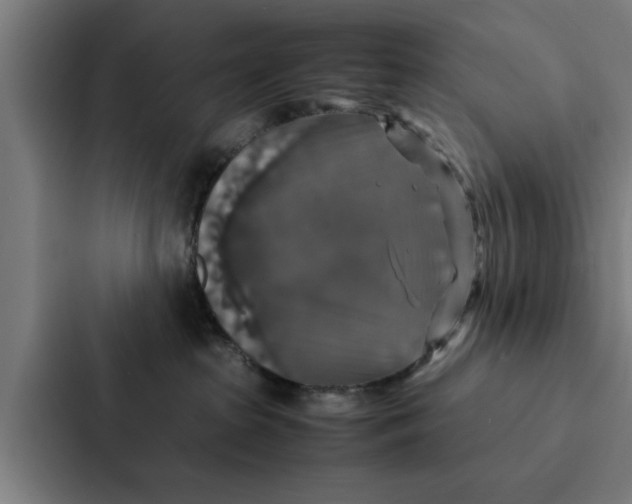 X0000087330285200705112203