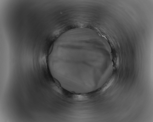 X0000087330286200705112203