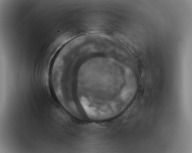 X0000087330290200705112202
