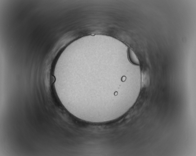 X0000087330291200705112202