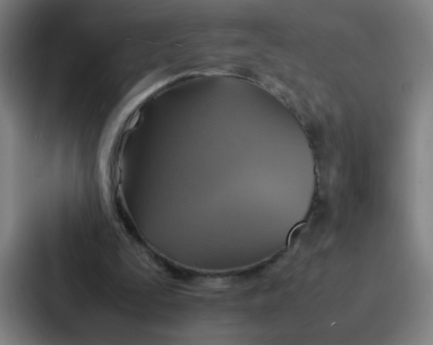 X0000087330295200705112202
