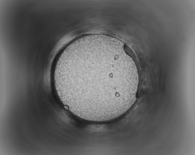 X0000087330296200705112202