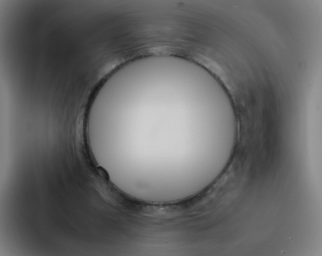 X0000087330297200705112202