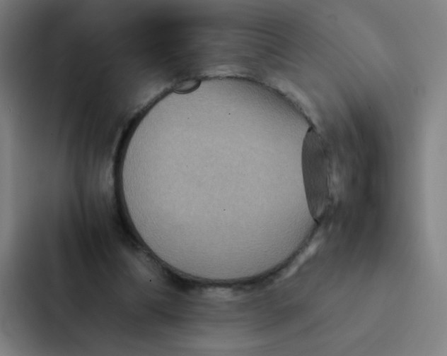 X0000087330298200705112202