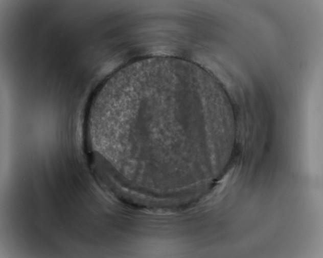 X0000087330299200705112202