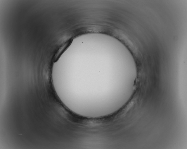 X0000087330305200705112202