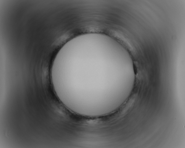 X0000087330306200705112202