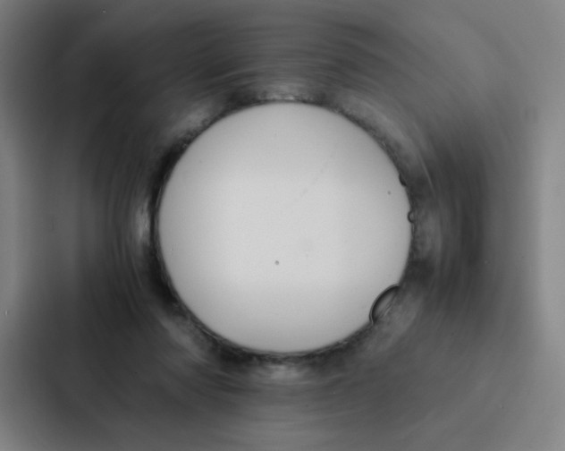X0000087330310200705112202