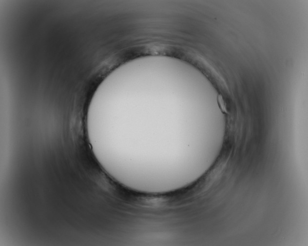 X0000087330313200705112202