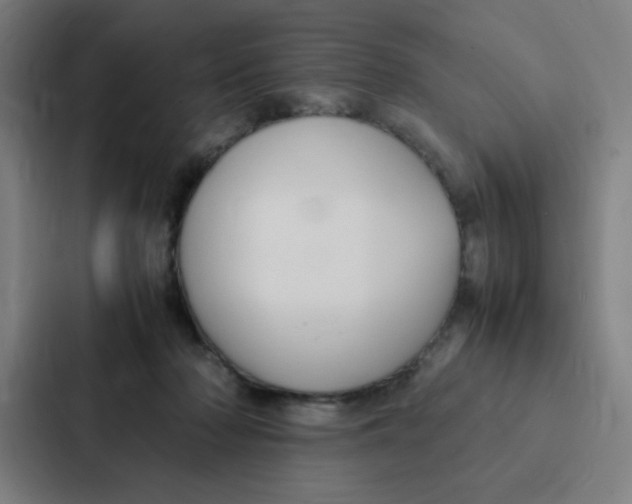 X0000087330318200705112202