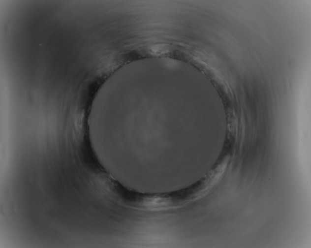 X0000087330319200705112202