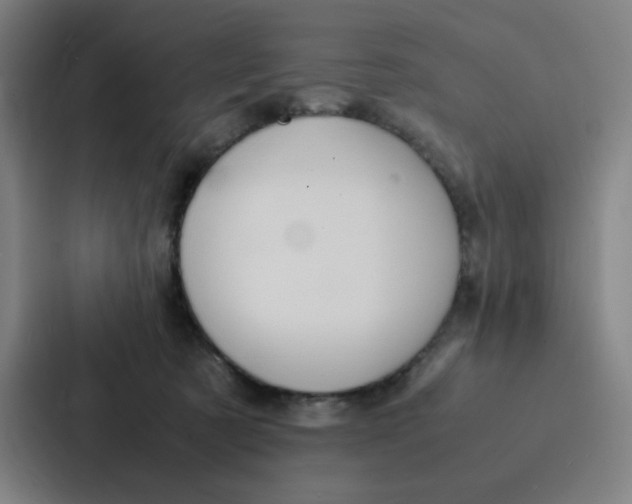 X0000087330321200705112202
