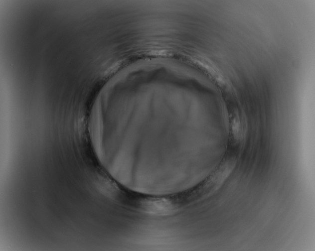 X0000087330322200705112202