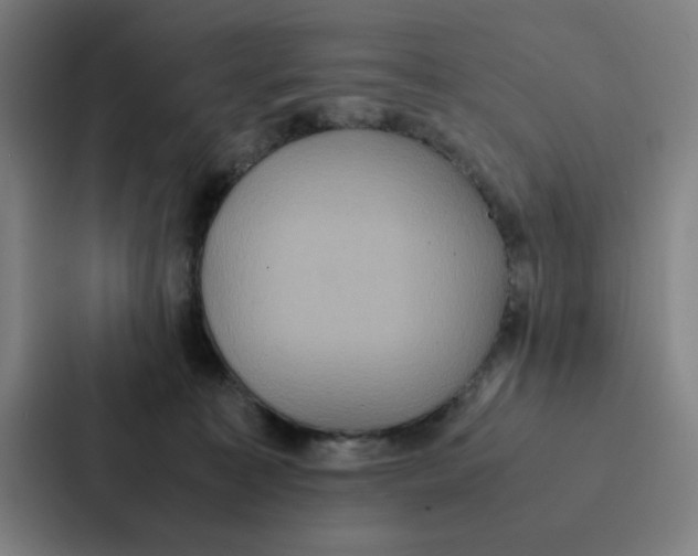 X0000087330323200705112202