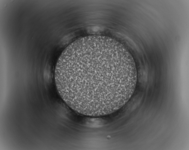 X0000087330324200705112202