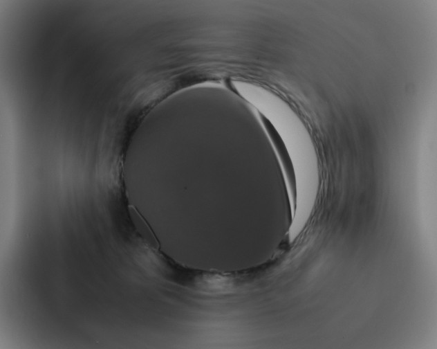 X0000087330325200705112202