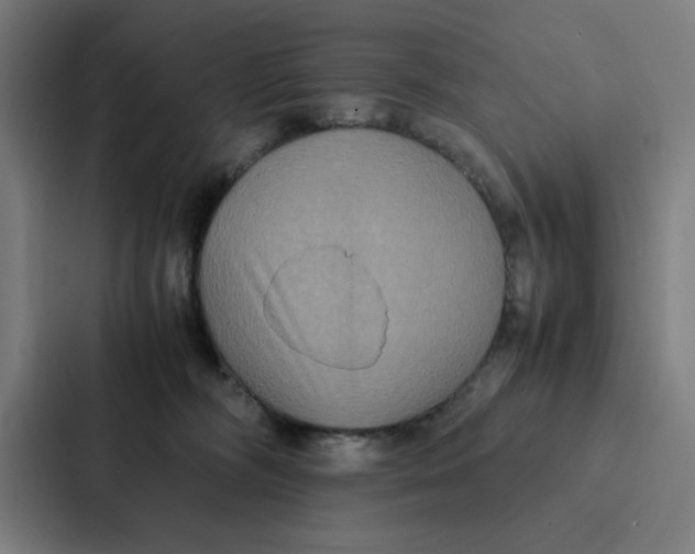 X0000087330326200705112202