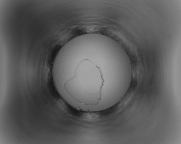 X0000087330327200705112202