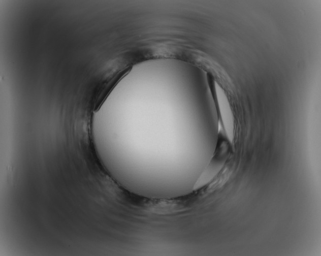 X0000087330329200705112202