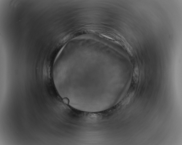 X0000087330330200705112202