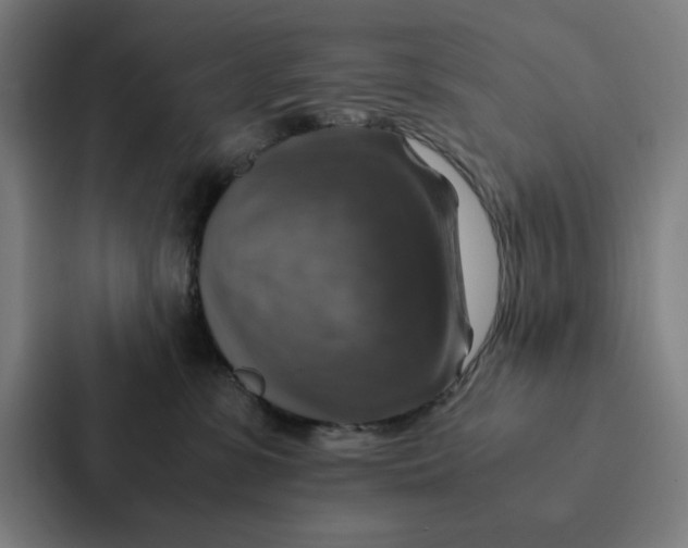 X0000087330331200705112202