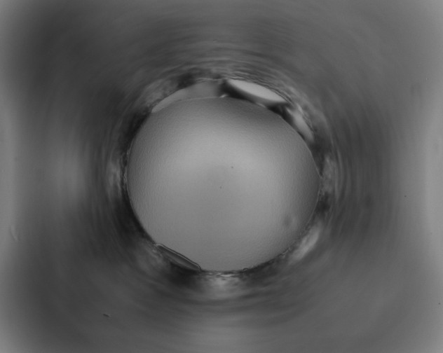 X0000087330333200705112202