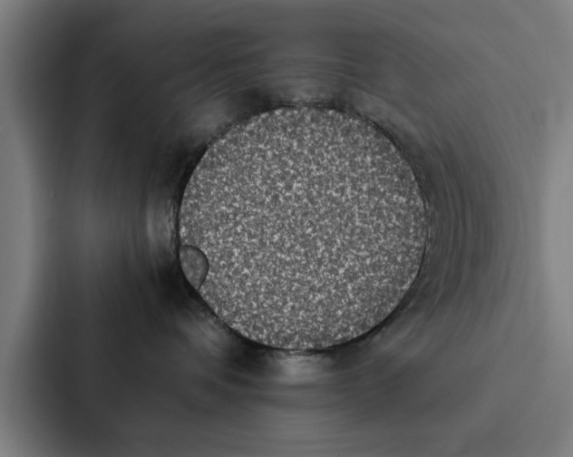 X0000087330336200705112202