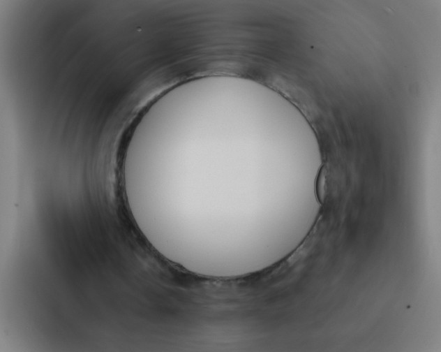 X0000087330338200705112201