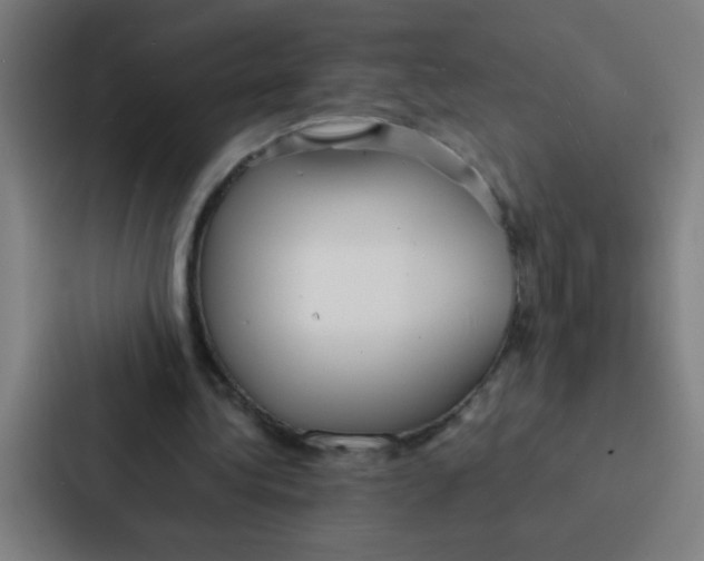 X0000087330340200705112201