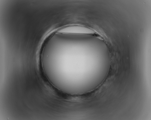 X0000087330344200705112201