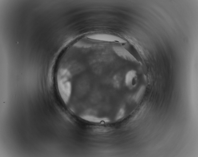 X0000087330347200705112201