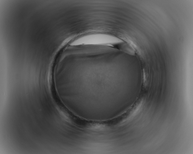 X0000087330348200705112201