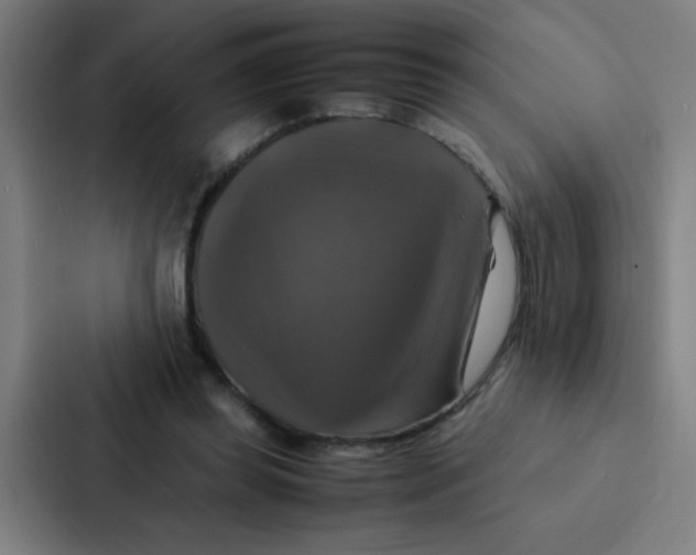X0000087330349200705112201
