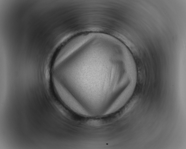X0000087330350200705112201