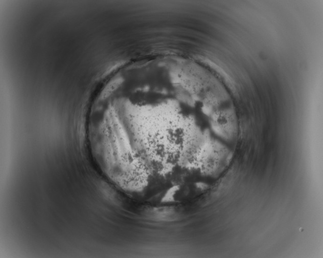 X0000087330353200705112201