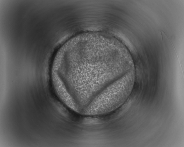 X0000087330354200705112201