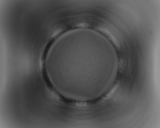 X0000087330355200705112201