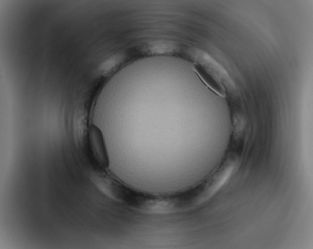 X0000087330356200705112201