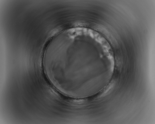 X0000087330357200705112201