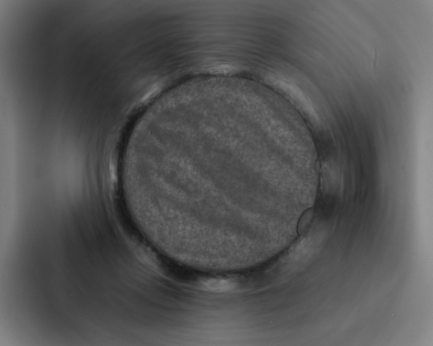 X0000087330358200705112201