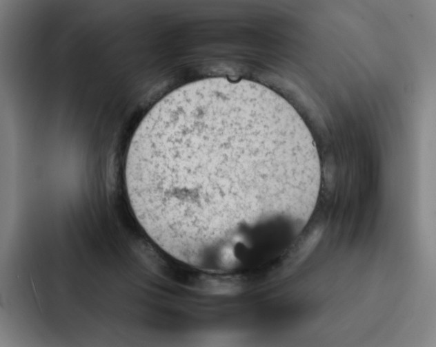 X0000087330359200705112201
